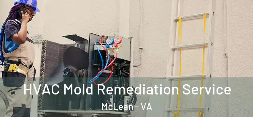 HVAC Mold Remediation Service McLean - VA