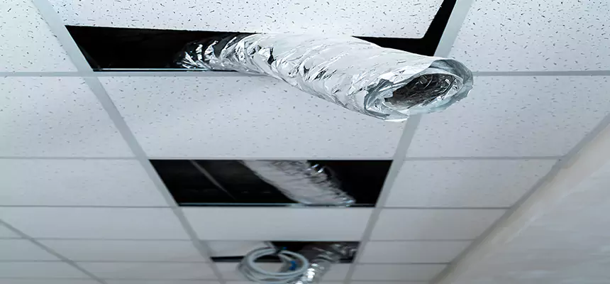 Affordable HVAC Sanitizing After Pest Removal in McLean