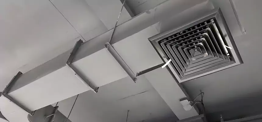 Restorative Allergy Relief Vent Cleaning – Coil, Blower & Housing Detail in McLean