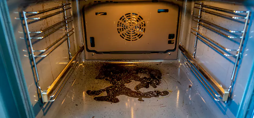 Our Dryer Vent Mold Cleaning Services in McLean, VA