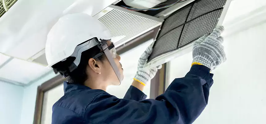 Our Mold & Mildew Removal from Air Ducts Services in McLean, VA