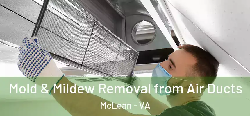 Mold & Mildew Removal from Air Ducts McLean - VA