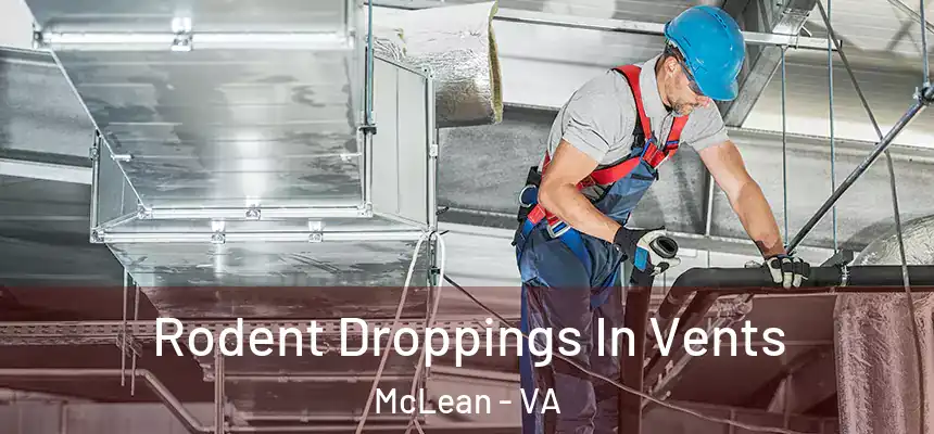  Rodent Droppings In Vents McLean - VA
