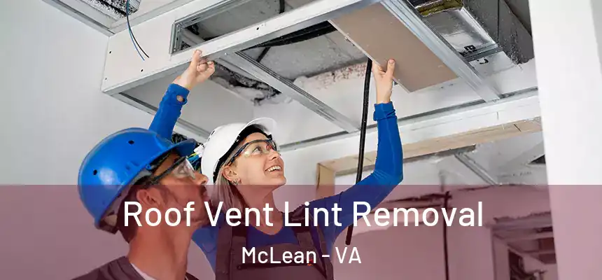  Roof Vent Lint Removal McLean - VA