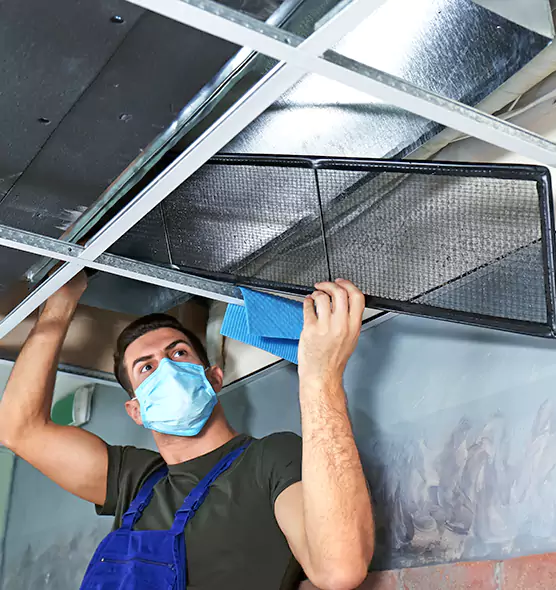 Professional Air Duct Pollen Cleaning in McLean, VA
