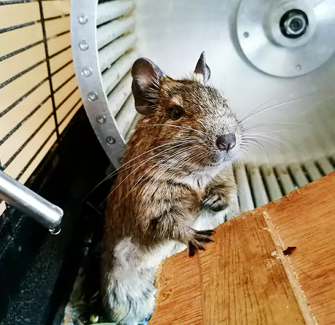 Why Homeowners & Businesses Trust Us McLean, VA